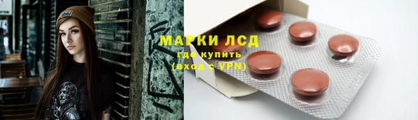 эйфоретик Майский