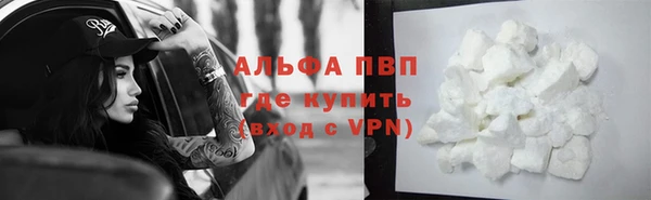 эйфоретик Майский