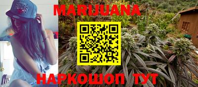 индика Азнакаево