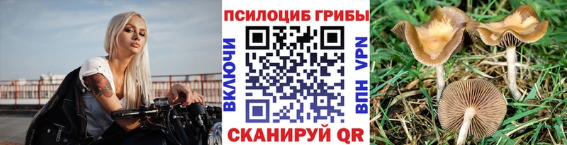 продажа наркотиков  Воронеж  Псилоцибиновые грибы Psilocybine cubensis 