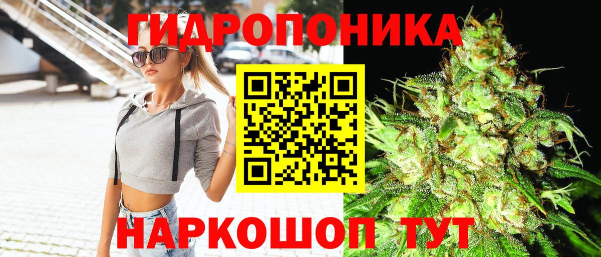 Канабис SATIVA & INDICA  Вход с VPN  Бошки марихуана семена  Бошки марихуана SATIVA & INDICA  Россия 